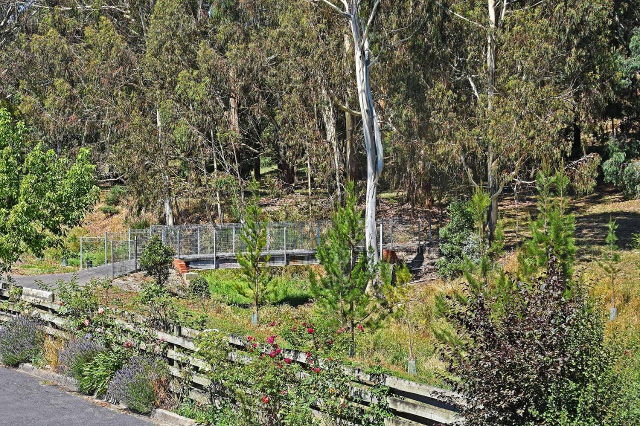 Main Lead Ballarat Motel Εξωτερικό φωτογραφία